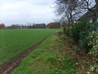 Blick aufs frei Feld