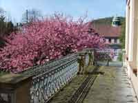 Terrasse Wuppertal