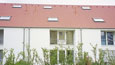 Gartenseite / Split-Level